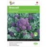 brocoli morado summer purple