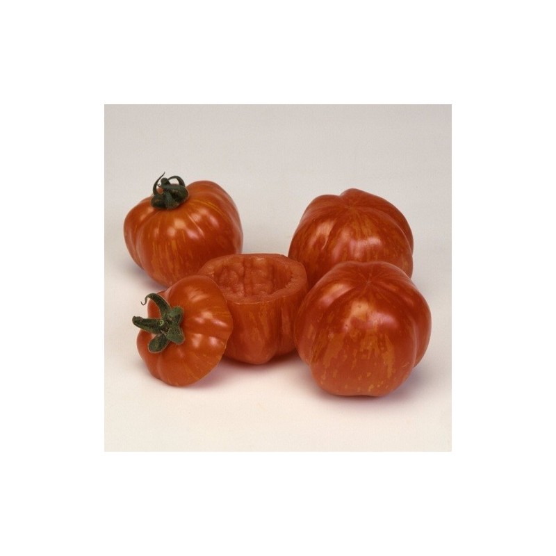 tomate red cavern (semillas ecolÃ³gicas)