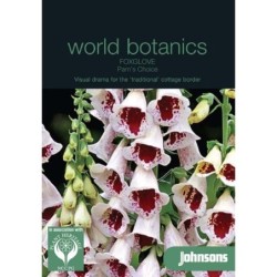 Foxglove Pam's Choice (dedalera)