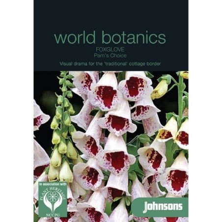 Foxglove Pam's Choice (dedalera)