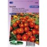 tagete doble enano Rusty red (Tagetes patula nana)