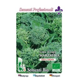 brocoli rapa marzatica - grelos - semillas ecolÃ³gicas