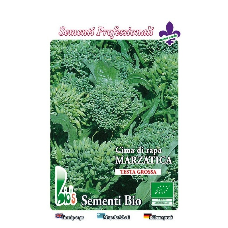 brocoli rapa marzatica - grelos - semillas ecolÃ³gicas