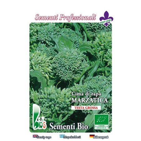 brocoli rapa marzatica - grelos - semillas ecolÃ³gicas