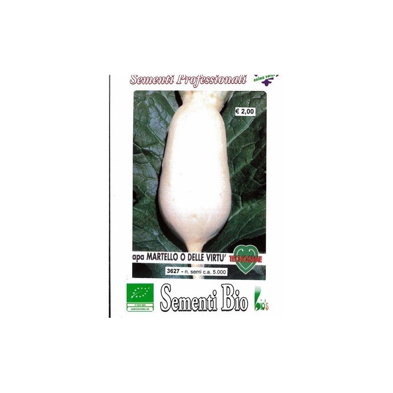 nabo martillo de las virtudes (semillas ecolÃ³gicas)