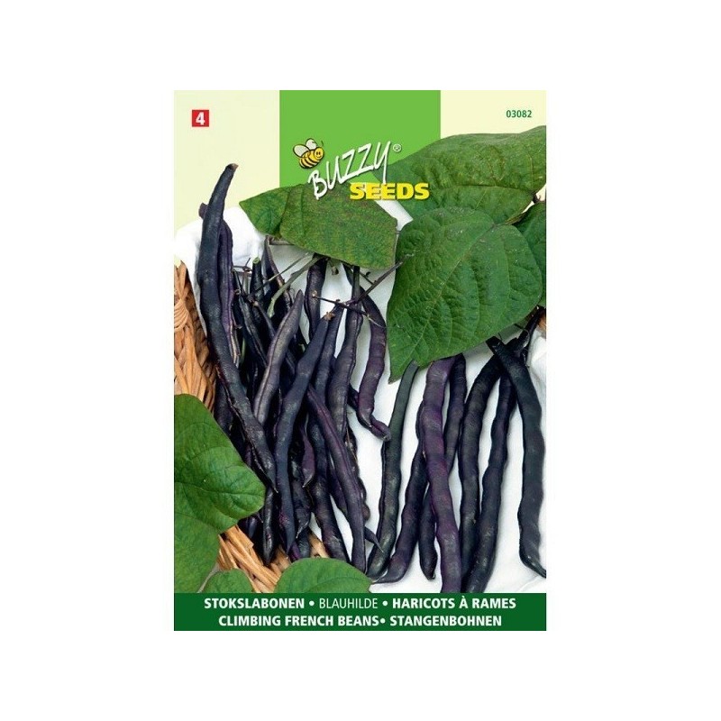 judias moradas blauhilde