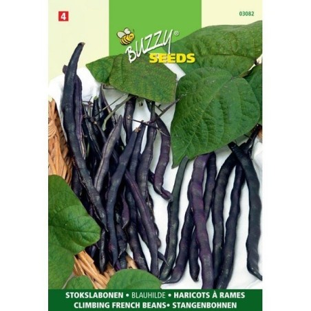 judias moradas blauhilde