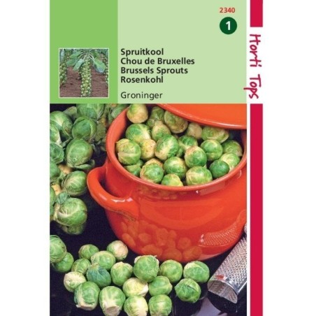 col de Bruselas groninger