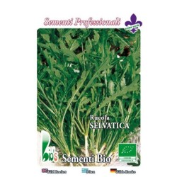 rucula selvatica - semillas ecologicas