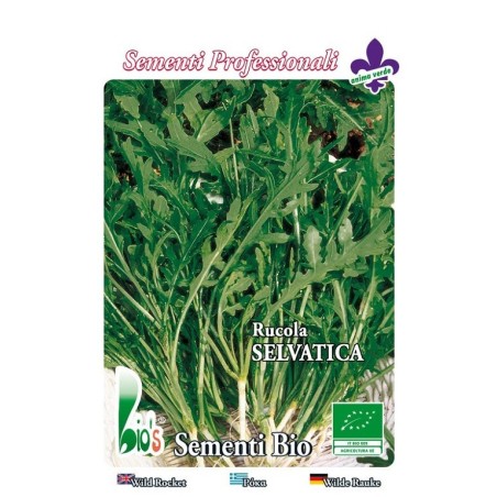 rucula selvatica - semillas ecologicas