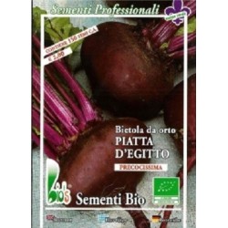 remolacha plana de Egipto semillas ecolÃ³gicas