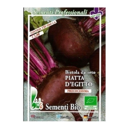 remolacha plana de Egipto semillas ecolÃ³gicas