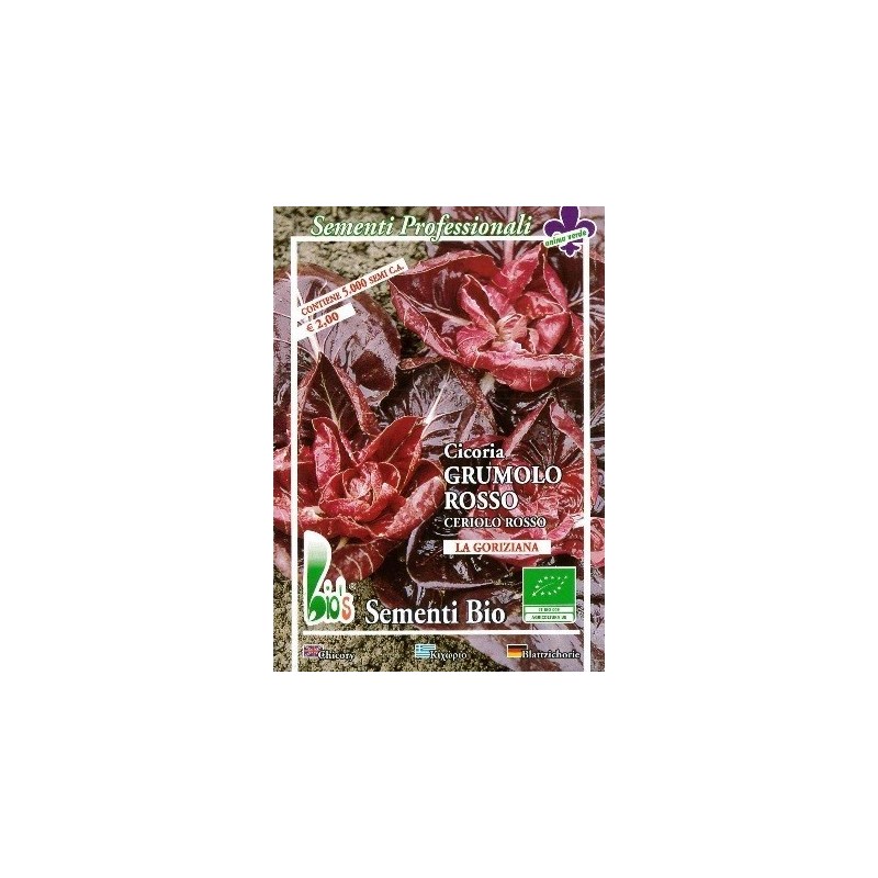 achicoria grumolo rojo - semillas ecologicas