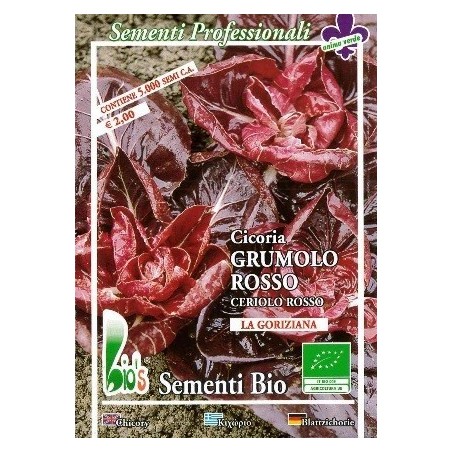 achicoria grumolo rojo - semillas ecologicas