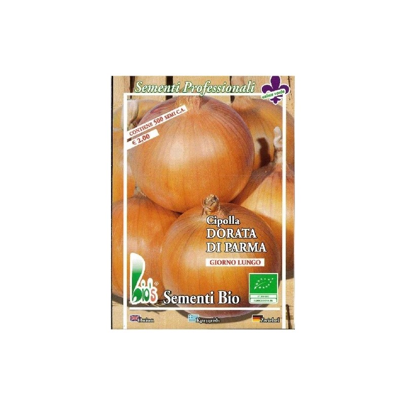cebolla dorada de Parma semillas ecolÃ³gicas