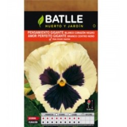 pensamiento gigante blanco corazÃ³n negro