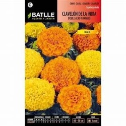 Tagete alto variado - clavelÃ³n de la India