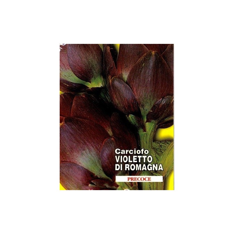 alcachofa violeta de romagna - semillas ecologicas