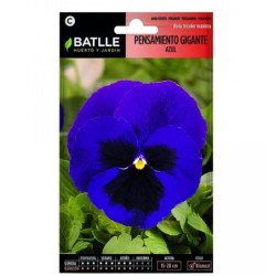 pensamiento gigante azul