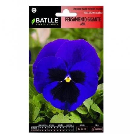 pensamiento gigante azul