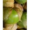 physalis ixocarpa verde - semillas no tratadas