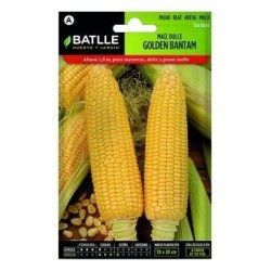 maiz dulce golden bantam