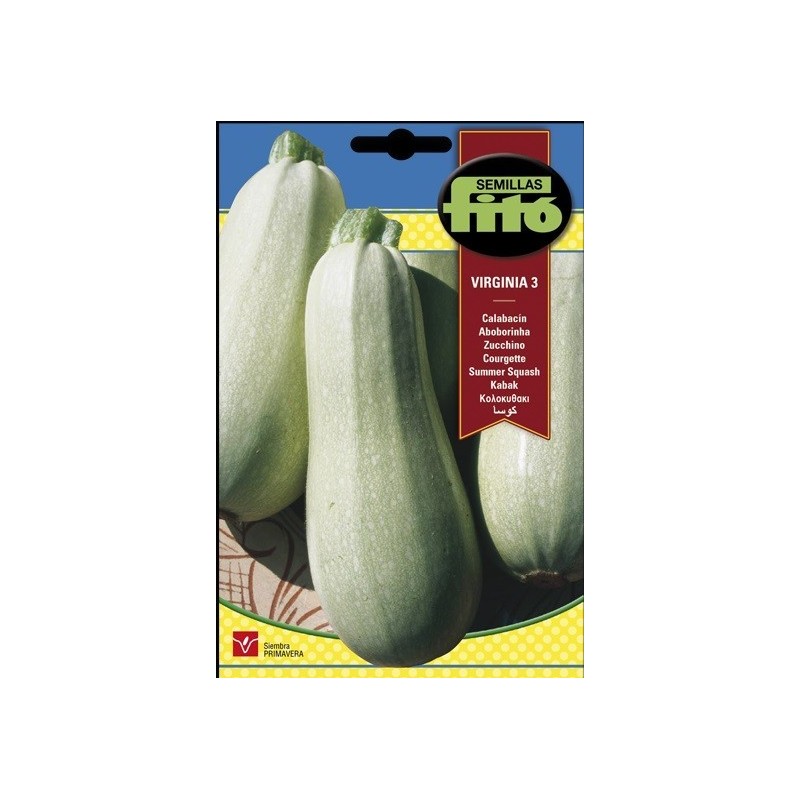 calabacin virginia