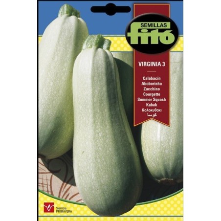 calabacin virginia