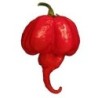 chile Trinidad Scorpion - semillas sin tratamiento