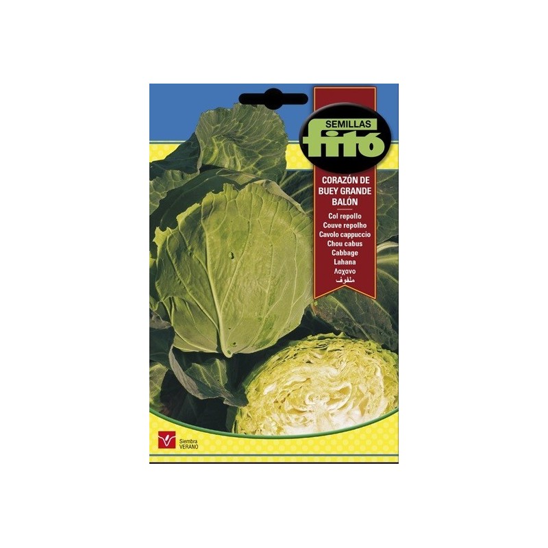 repollo corazÃ³n de buey pequeÃ±o - balÃ³n