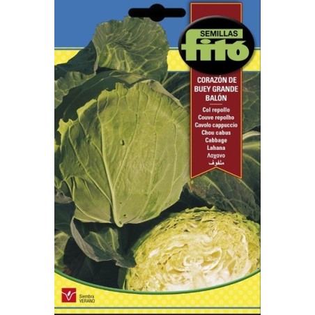 repollo corazÃ³n de buey pequeÃ±o - balÃ³n