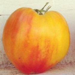 Tomate corazÃ³n de buey rayado - semillas no tratadas