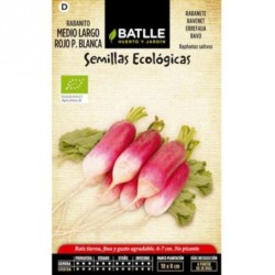 rabanito medio largo rojo punta blanca - semillas ecolÃ³gicas