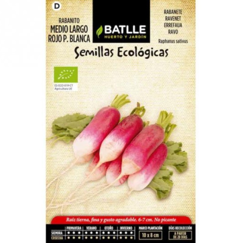 rabanito medio largo rojo punta blanca - semillas ecolÃ³gicas