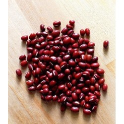 Adzuki rojo - soja roja (Vigna angularis) semillas ecolÃ³gicas