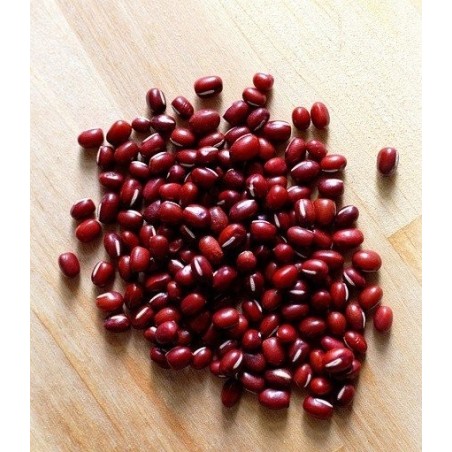 Adzuki rojo - soja roja (Vigna angularis) semillas ecolÃ³gicas