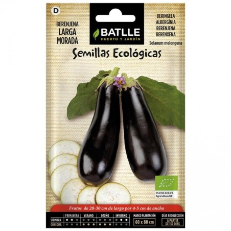 berenjena larga morada - semillas ecolÃ³gicas