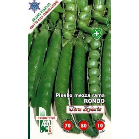 guisante Rondo utra hybris - semillas ecolÃ³gicas