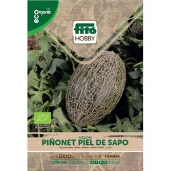 melon piel de sapo - semillas ecolÃ³gicas