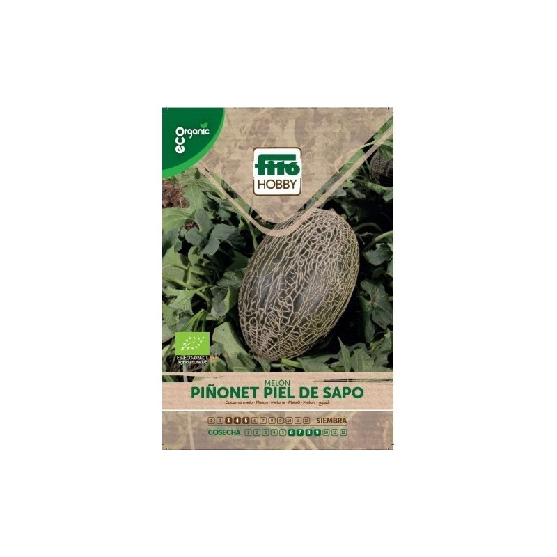 melon piel de sapo - semillas ecolÃ³gicas