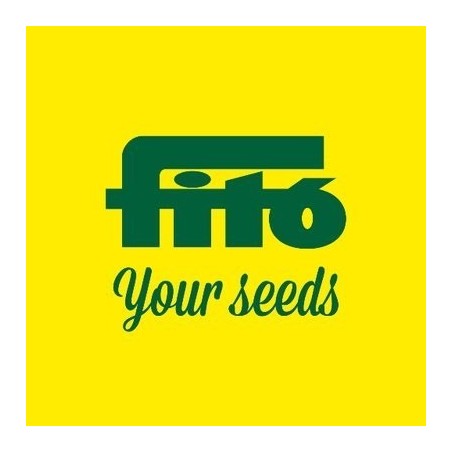 cesped creeping rye - uso intensivo