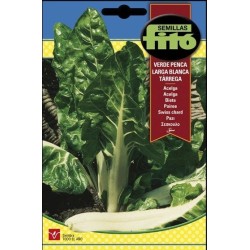 acelga verde de penca blanca Tarrega