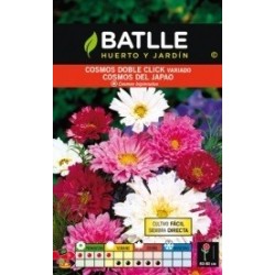 cosmos doble click variado (cosmos bipinnatus)