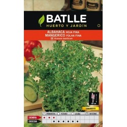 semillas de albahaca de hoja fina