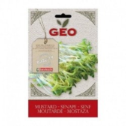 mostaza para germinar geo