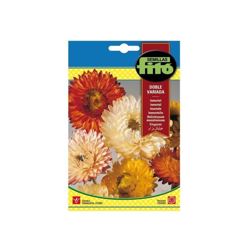 Inmortal - siempreviva - semillas FitÃ³