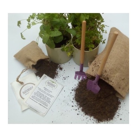 Kit de cultivo de aromÃ¡ticas