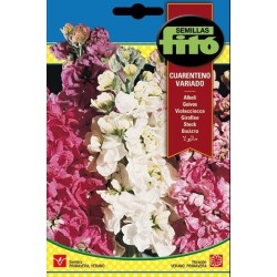 AlhelÃ­ Cuarenteno Variado