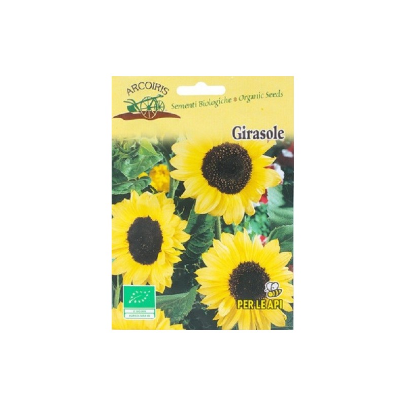 girasol (semillas ecolÃ³gicas arcoiris)