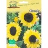 girasol (semillas ecolÃ³gicas arcoiris)